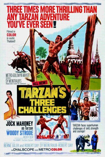Скачать Три испытания Тарзана / Tarzan's Three Challenges SATRip через торрент