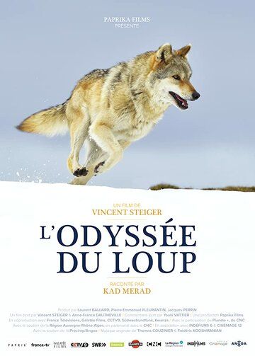 Скачать Путешествие волка / L'Odyssée du Loup HDRip торрент