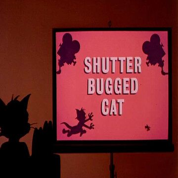 Скачать Кот скрытой камерой / Shutter Bugged Cat HDRip торрент