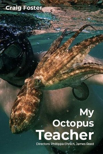 Скачать Мой учитель-осьминог / My Octopus Teacher HDRip торрент