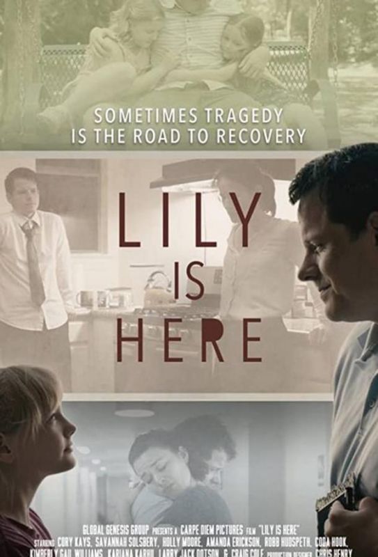 Скачать Lily Is Here / Lilly's Light: The Movie HDRip торрент
