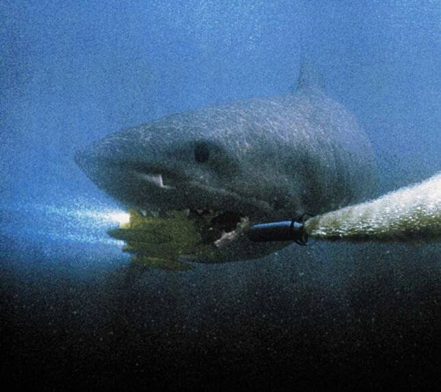 Акулы 3: Мегалодон кино фильм скачать торрент