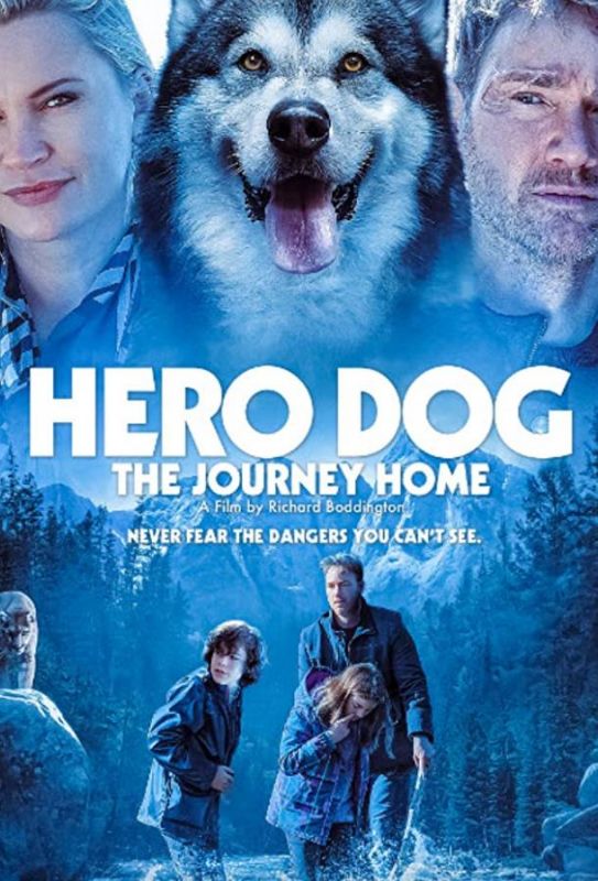 Скачать Собака-герой: Путешествие домой / Hero Dog: The Journey Home HDRip торрент