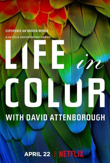 Скачать Жизнь в цвете с Дэвидом Аттенборо / Life in Colour 1 сезон HDRip торрент