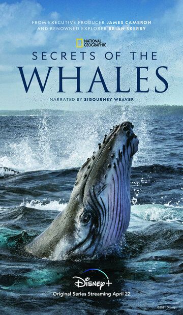 Скачать Тайны китов / Secrets of the Whales HDRip торрент