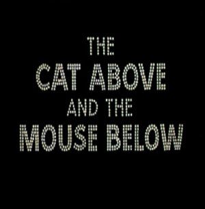 Скачать На сцене и под сценой / The Cat Above and the Mouse Below HDRip торрент