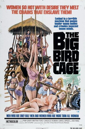 Скачать Большая клетка для птиц / The Big Bird Cage HDRip торрент