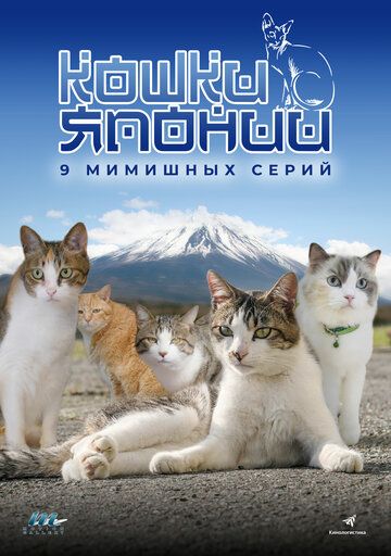 Скачать Кошки Японии / Cats of Japan HDRip торрент