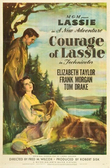 Скачать Храбрость Лэсси / Courage of Lassie SATRip через торрент
