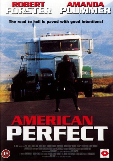 Скачать Американское совершенство / American Perfekt HDRip торрент