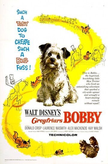 Скачать Бобби из Грейфраерса: Правдивая история / Greyfriars Bobby: The True Story of a Dog HDRip торрент