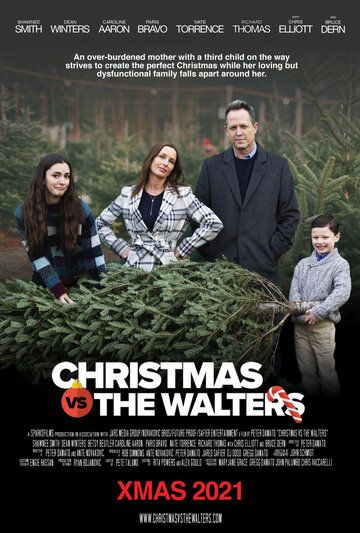 Скачать Рождество против Уолтерсов / Christmas vs. The Walters HDRip торрент