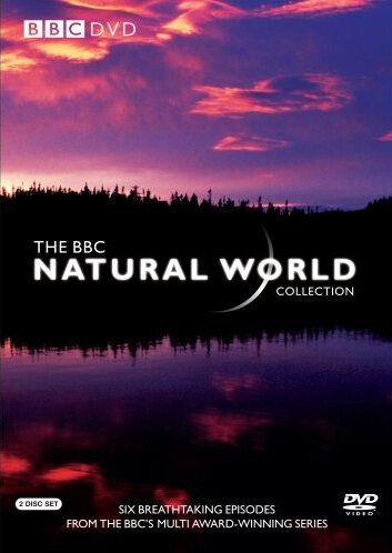 Скачать BBC: Живой мир / Natural World HDRip торрент