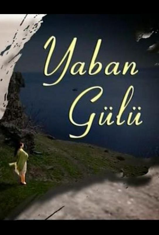Скачать Yaban Gülü SATRip через торрент
