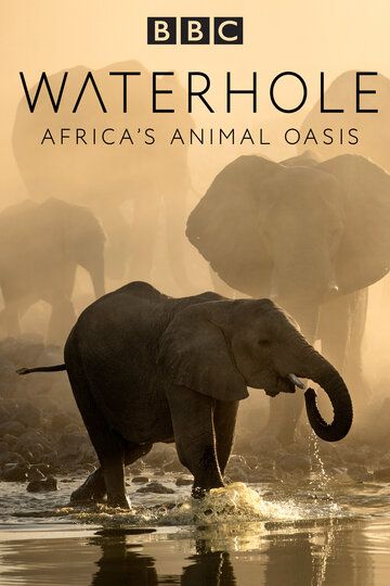 Сериал Waterhole: Africa's Animal Oasis скачать торрент