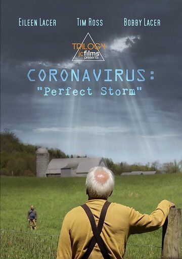 Скачать Coronavirus: Perfect Storm HDRip торрент