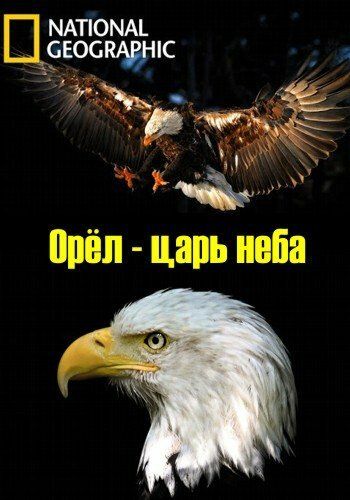 Скачать Орёл - царь неба / The Eagles HDRip торрент