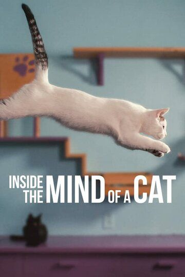 Скачать Внутри разума кошки / Inside the Mind of a Cat HDRip торрент