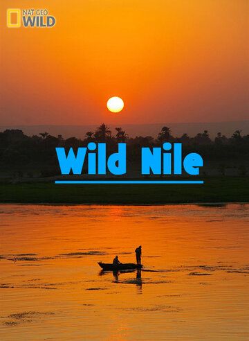 Скачать Дикий Нил / Wild Nile HDRip торрент