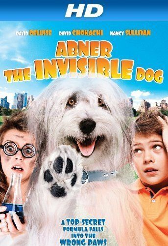 Скачать Абнер, невидимый пёс / Abner, the Invisible Dog SATRip через торрент