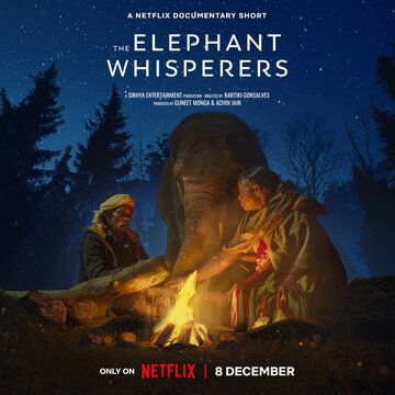 Скачать Заклинатели слонов / The Elephant Whisperers HDRip торрент
