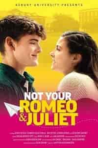 Скачать Не твои Ромео и Джульетта / Not Your Romeo & Juliet HDRip торрент