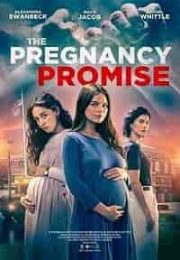 Скачать Обещание стать мамами (триллер) / The Pregnancy Promise HDRip торрент