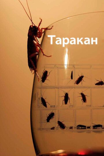 Скачать Таракан / Cockroach HDRip торрент