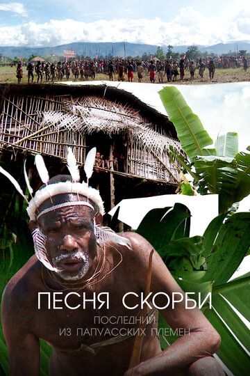 Скачать Песня скорби: Последний из папуасских племен / Song of Sorrow: The Last of the Papuan Tribes HDRip торрент