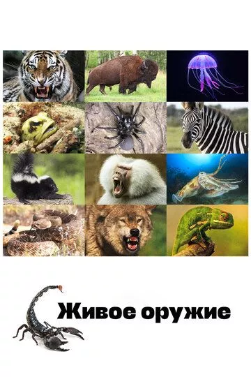 Скачать Арсенал животных / Animal Armory HDRip торрент