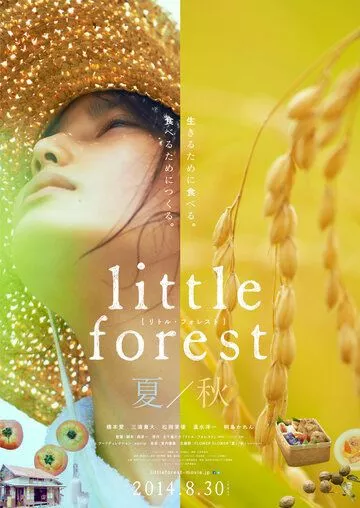 Скачать Небольшой лес: Лето и осень / Ritoru foresuto: Natsu/Aki SATRip через торрент