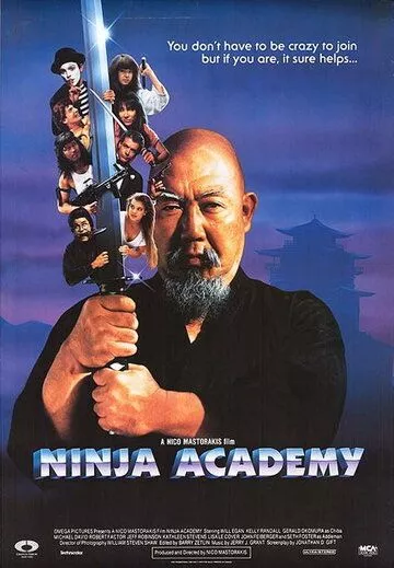 Скачать Академия ниндзя / Ninja Academy HDRip торрент