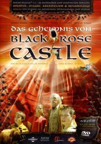 Скачать Тайна замка Черной розы / The Mystery of Black Rose Castle HDRip торрент