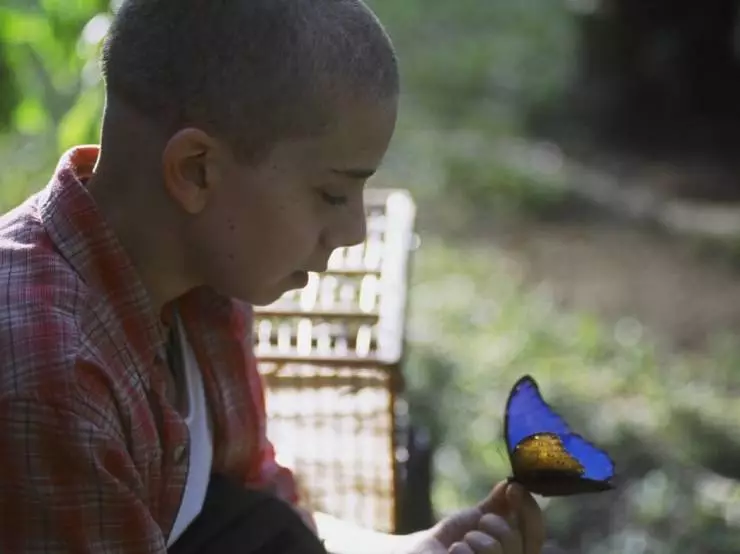 Голубая бабочка кино фильм скачать торрент
